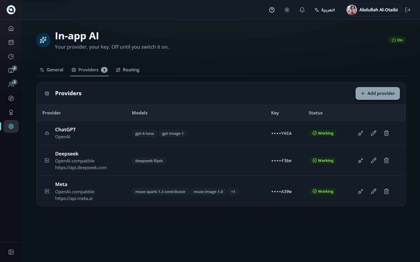 AI providers