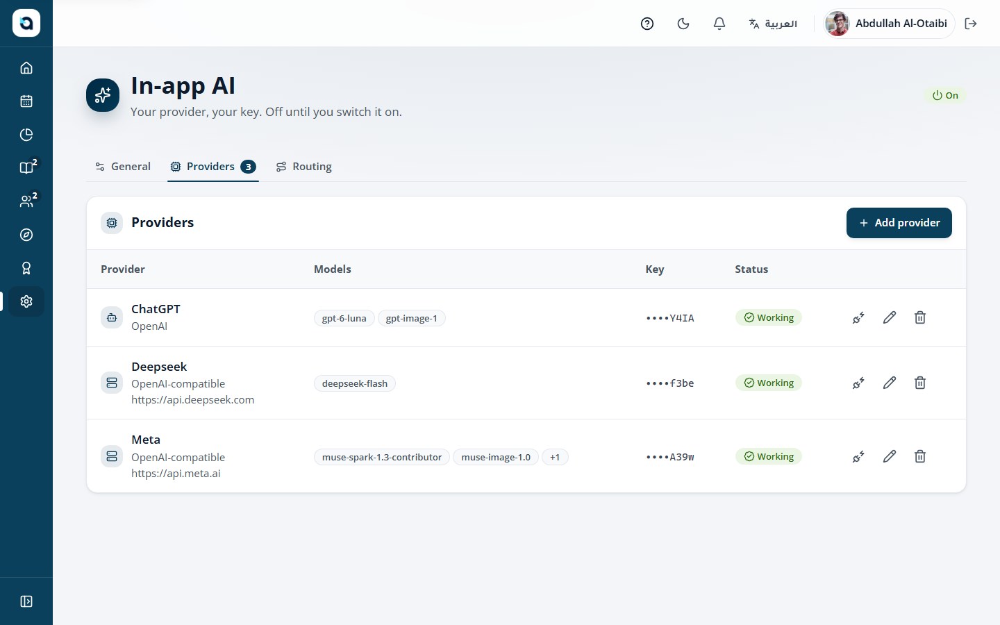 AI providers